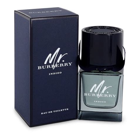 mr burberry indigo canzone|mr burberry indigo 50ml.